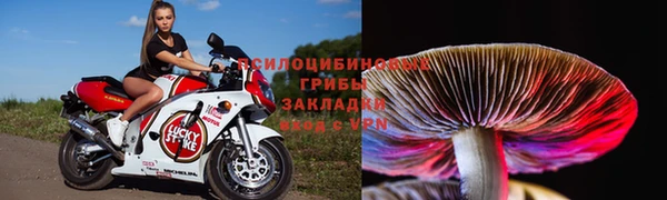 винт Аркадак