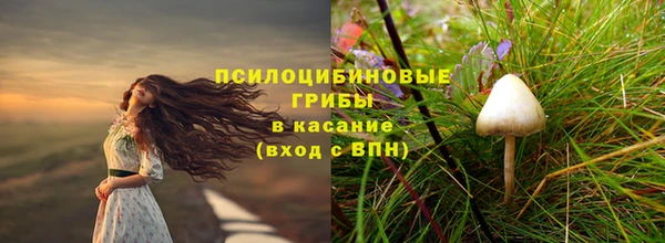 винт Аркадак