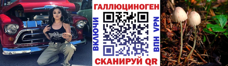 где можно купить наркотик Болгар Псилоцибиновые грибы мухоморы